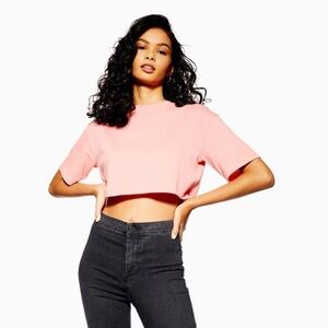 TOPSHOP Blush Crop Top